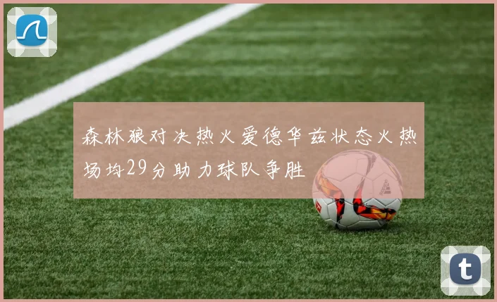森林狼对决热火爱德华兹状态火热场均29分助力球队争胜